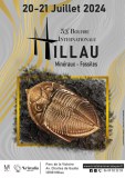53ème Bourse aux Minéraux de Millau (12) Fossiles, Cristaux, Gemmes, Météorites et Bijoux