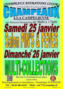 Salon MultiCollections 26/01/2025 à CHAMPEAUX (77)