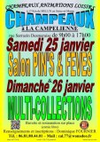 Salon du Pin’s & Fève le 25/01/2025 à CHAMPEAUX (77)