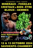 5ème Salon Minéraux Fossiles Cristaux & Bien-Être Bijoux et Gemmes + Exposition de Dino...