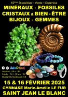 Salon Minéraux Fossiles Cristaux & Bien-Être Bijoux et Gemmes de Troyes