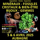 4ème Salon Minéraux Fossiles + Exposition de Dinosaures à Aubagne